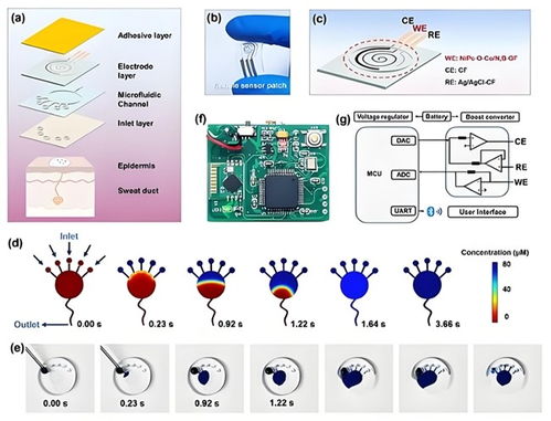 中科数惠以网络科技赋能，成功助力中西医结合糖尿病防治系统创新